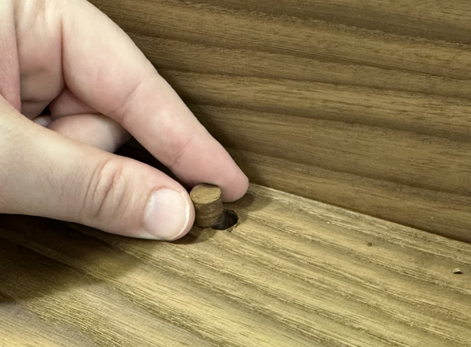 Hardwood Plugs